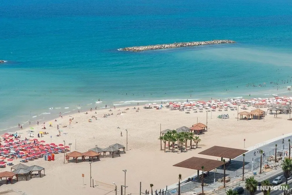 Bright Pearl For Exploring Tel-Aviv - Yerinde Yemek