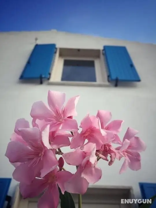 Villa Brigida - Öne Çıkan Resim