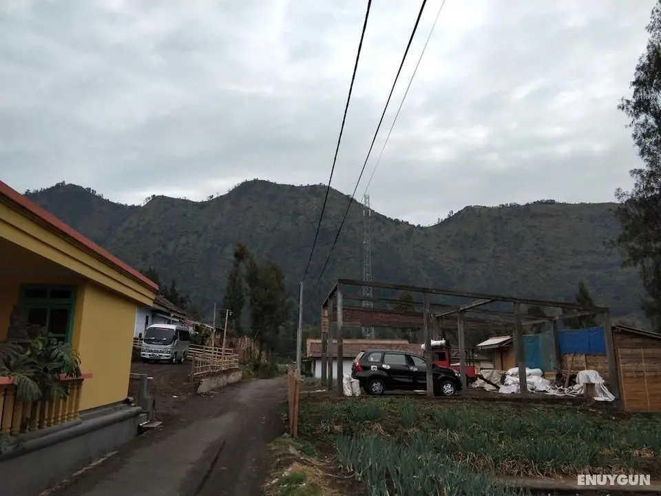 Bromo Authentic Homestay - Dış Mekan