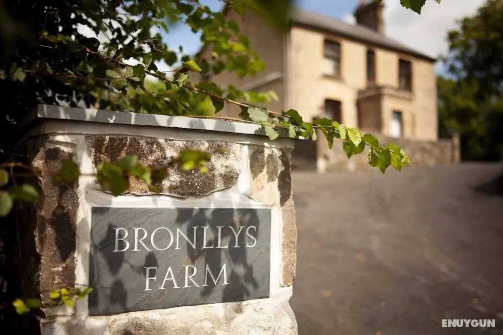 Bronllys Farm - Öne Çıkan Resim