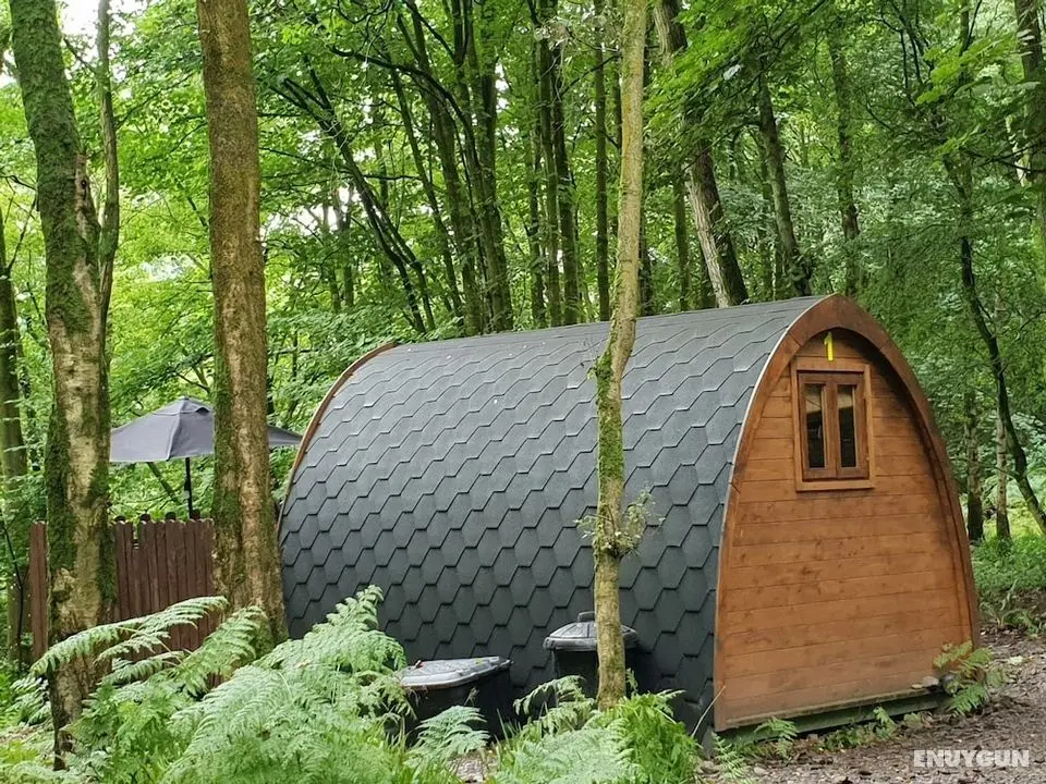 Broomhills Farm River Eco Pods - Dış Mekan