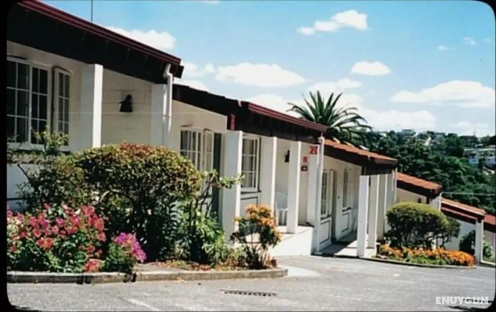 Browns Bay Olive Tree Motel & Apartment - Öne Çıkan Resim