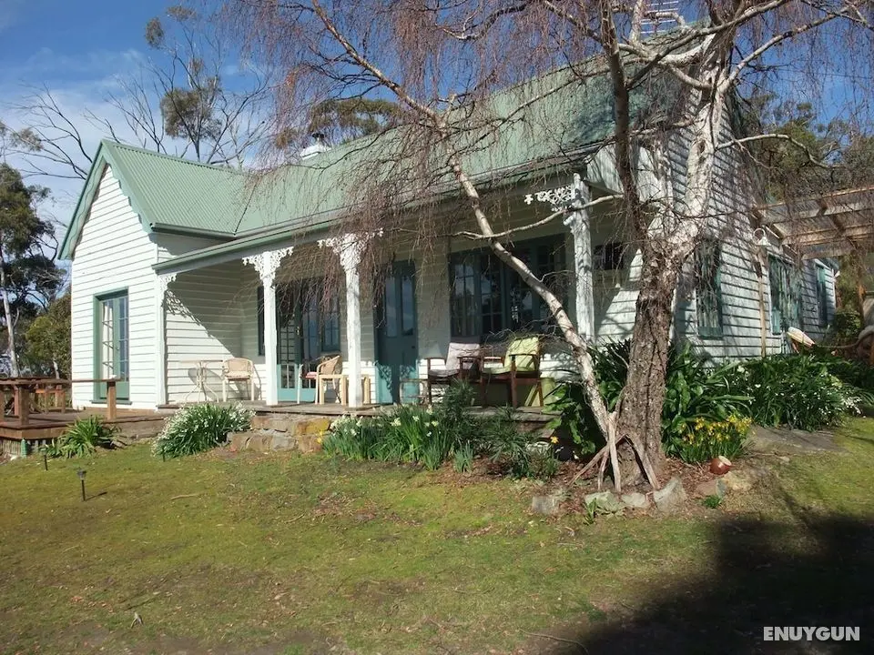 Bruny Island Varuna - Öne Çıkan Resim