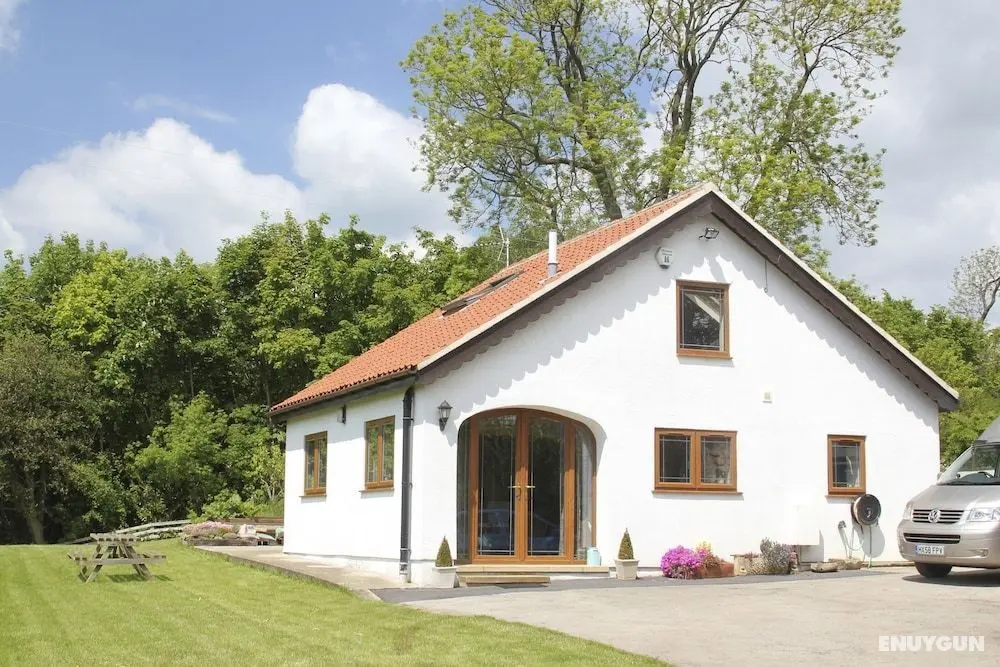 Brush and Boot B&B - Öne Çıkan Resim