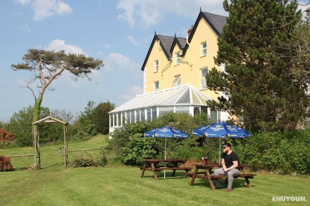 Bryn Eisteddfod B&B - Öne Çıkan Resim