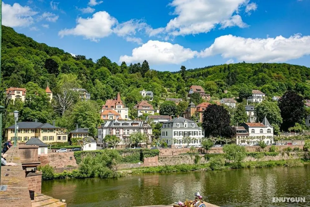 BS Luxury Apartment - Aktiviteler