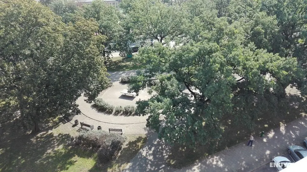 BT Brama Portowa - Konum Öne Çıkanlar