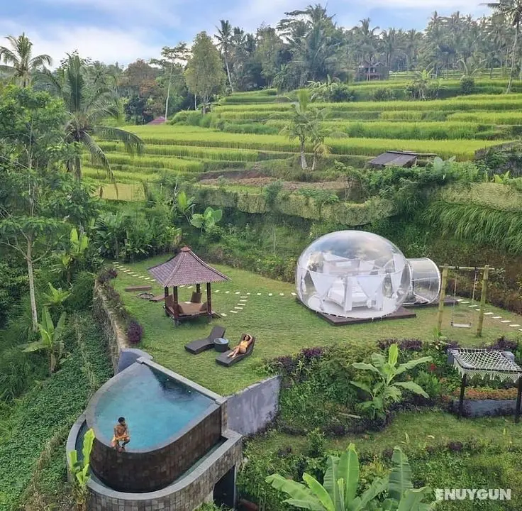 Bubble Hotel Bali Ubud - Glamping - Dış Mekan