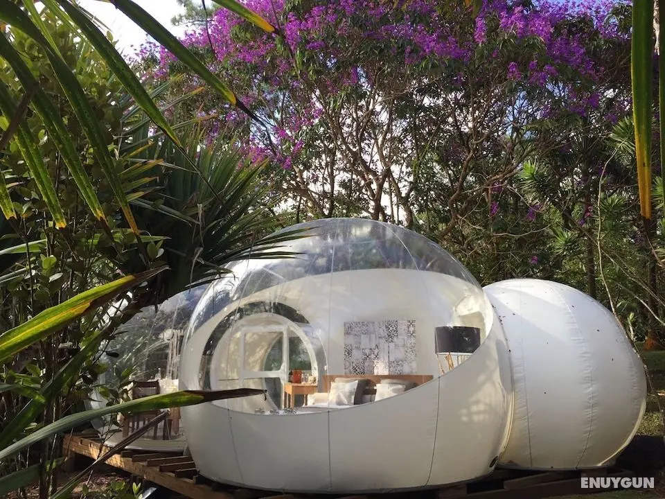 Bubble Lodge Bois Chéri - Oda