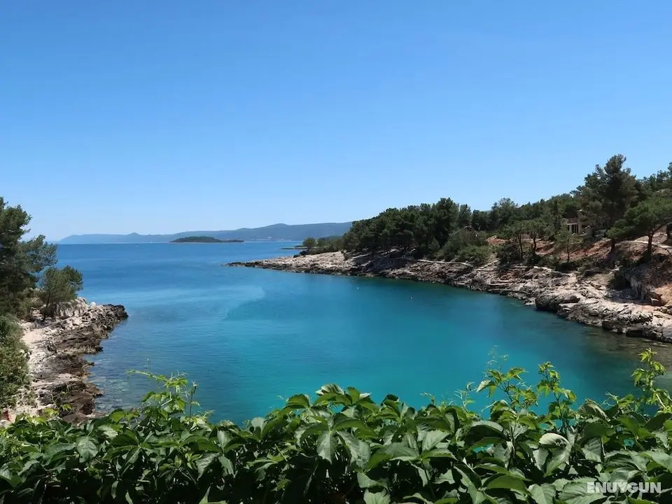 Buda Vrbanj in Vrbanj - Öne Çıkan Resim