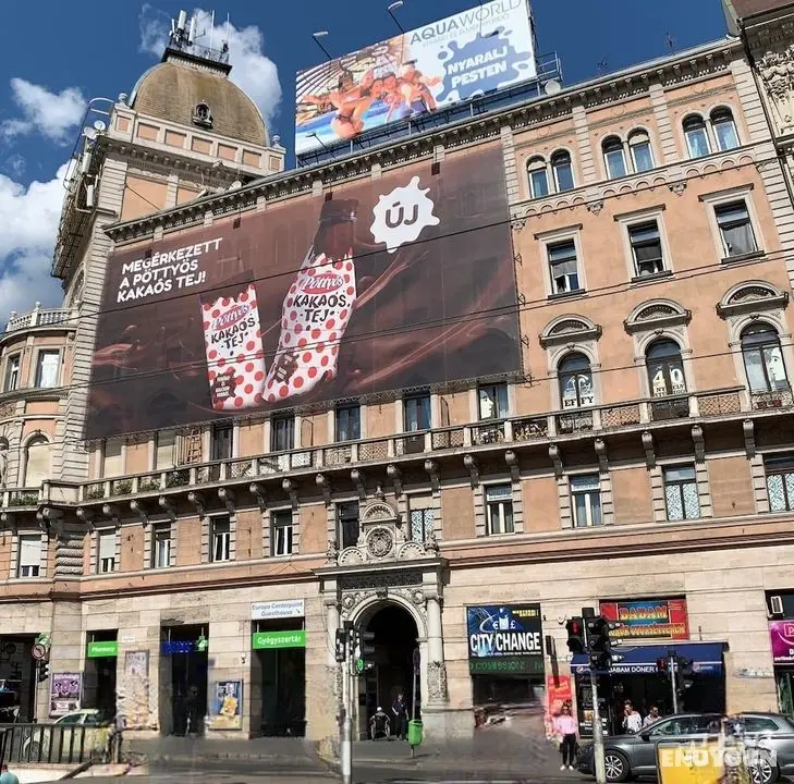 Budapest Three Cats Hostel - Öne Çıkan Resim