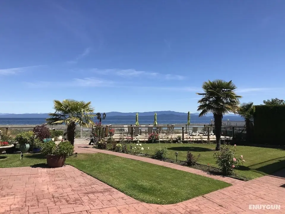 Buena Vista by the Sea - Öne Çıkan Resim