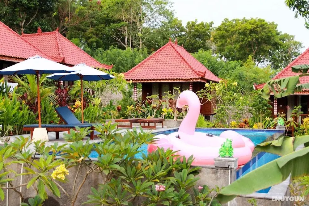 Bukit Permata Lembongan - Havuz