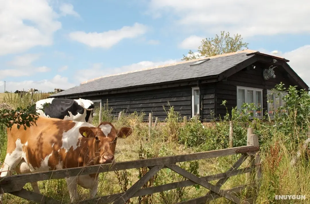 Bull Farm Studios - Öne Çıkan Resim