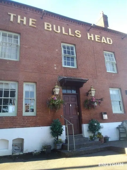 Bulls Head - Öne Çıkan Resim