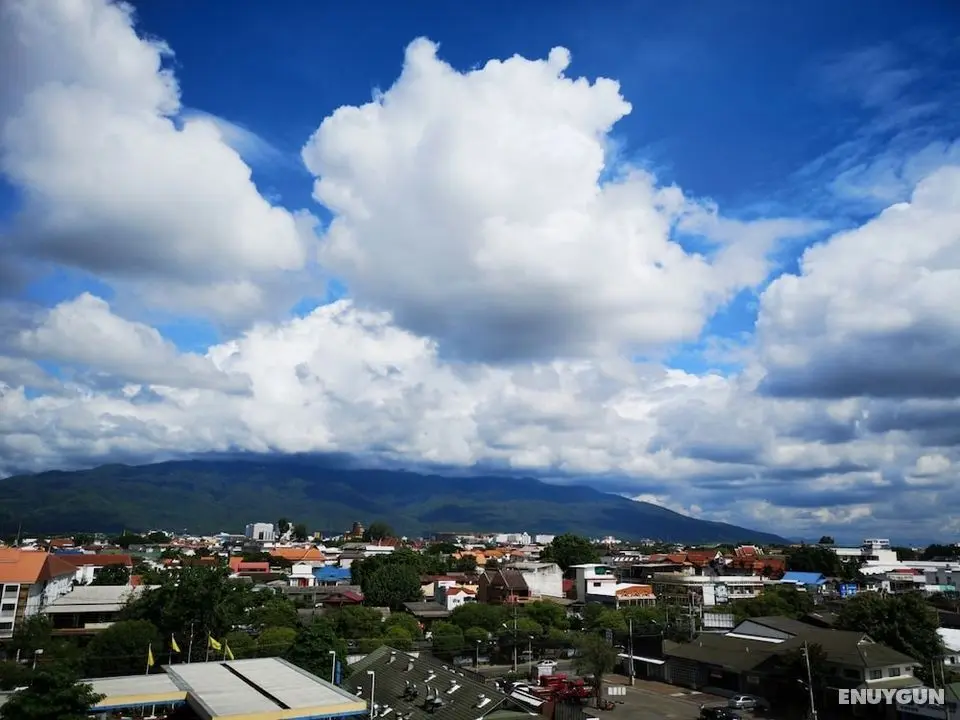 Bunk Boutique Hostel Chiangmai - Oda Manzaraları