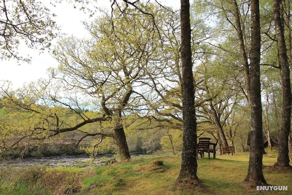 Burnbank Lodges - Öne Çıkan Resim