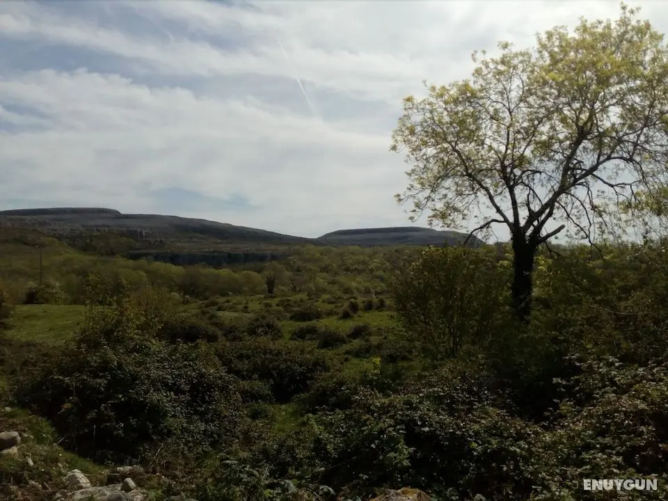 Burren Bushcraft - Camping & Adventures - Öne Çıkan Resim