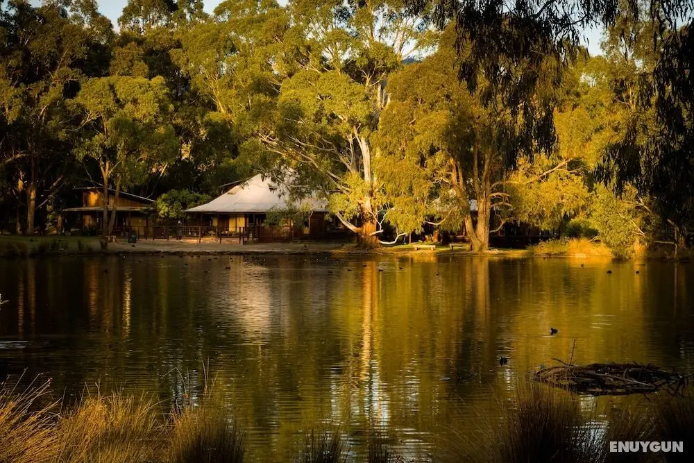 The Burrow At Wombat Bend - Dış Mekanlar
