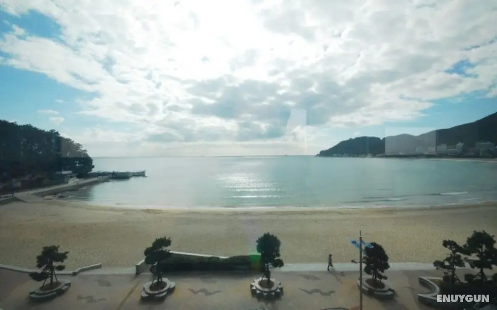Busan Chocolate House Pension - Misafir Tesisleri ve Hizmetleri