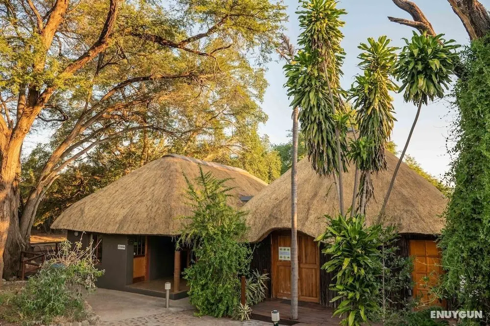 Bushriver Lodge - Öne Çıkan Resim
