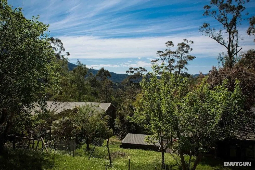 Buttercuphill B&B - Öne Çıkan Resim