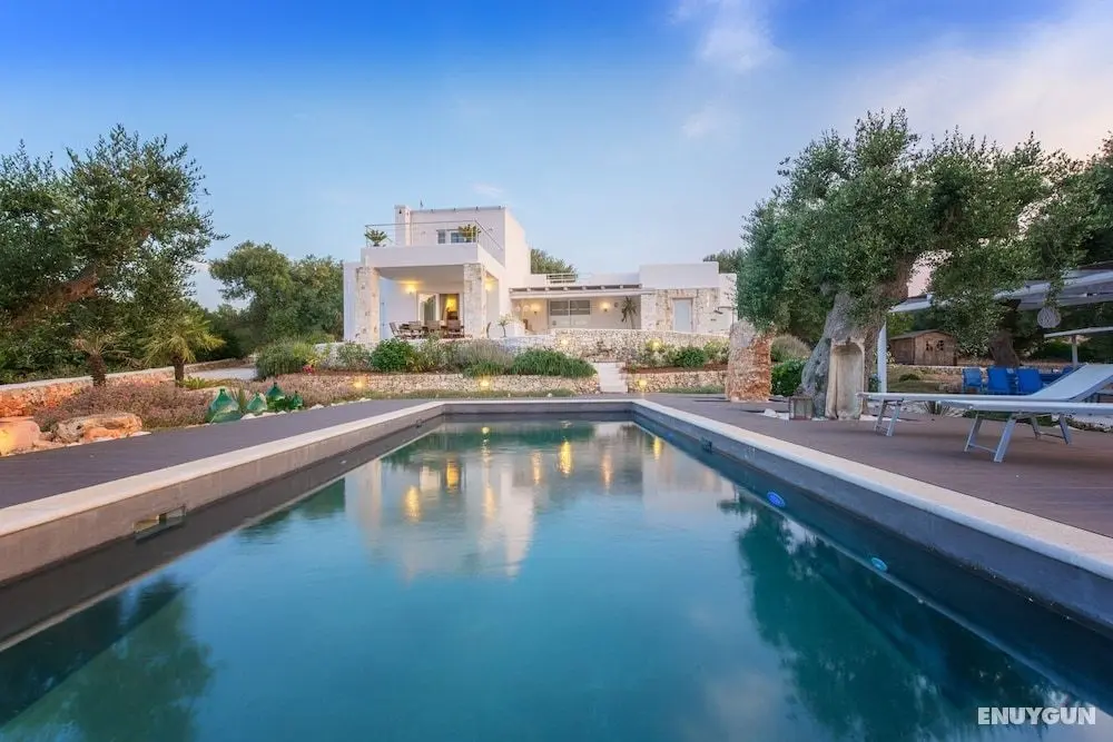 Villa Butterfly - Öne Çıkan Resim