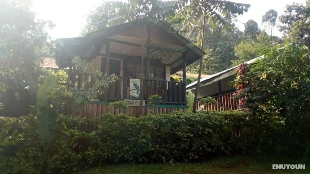 Bwindi View Lodge & Camp Site - Öne Çıkan Resim