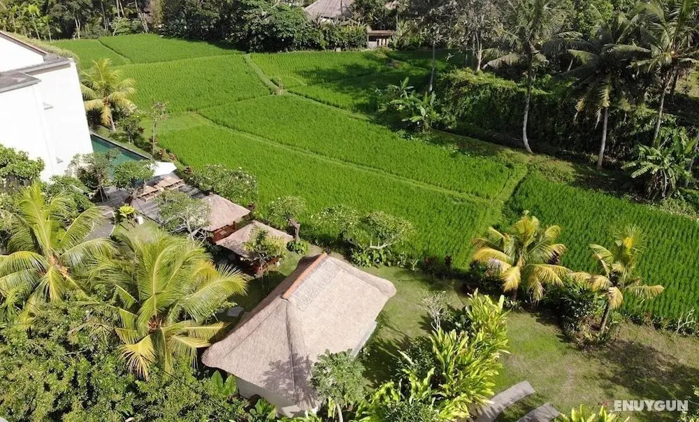 Byasa Ubud - Öne Çıkan Resim