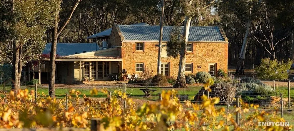 Byronsvale Vineyard and Accommodation - Öne Çıkan Resim