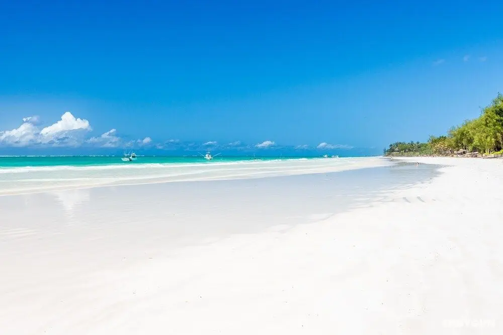 C9 at Diani Beachalets - Plaj