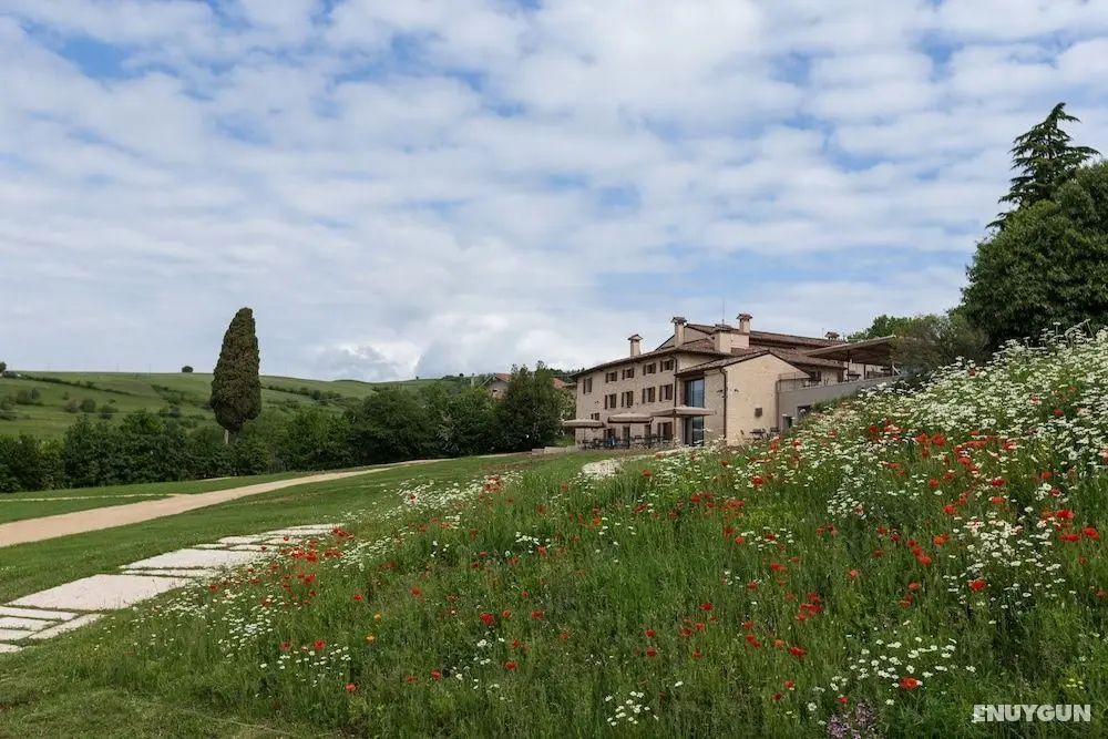 Ca' del Moro Wine Retreat - Öne Çıkan Resim