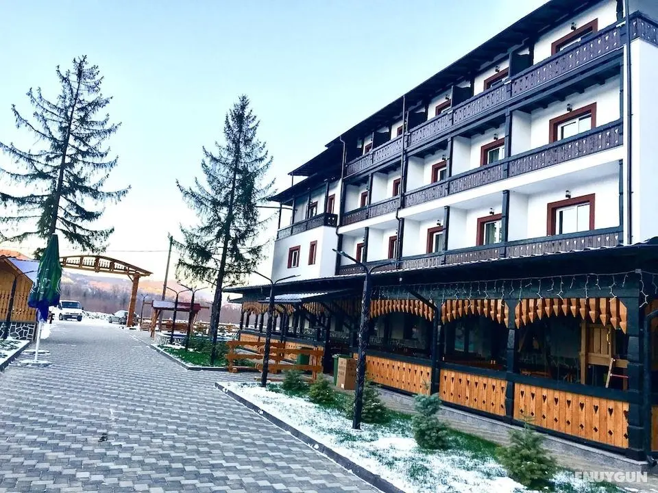 Cabana Sura Getilor Arinis - Öne Çıkan Resim