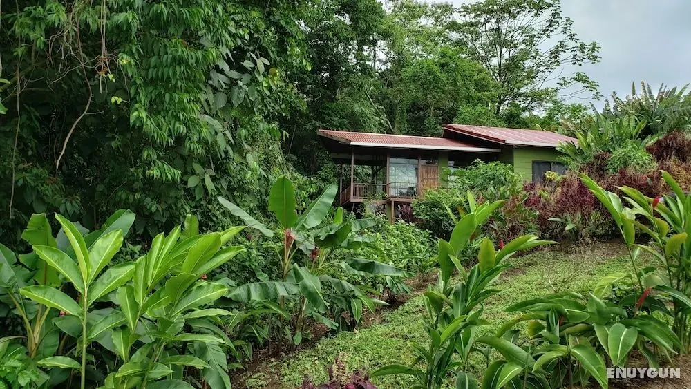 Cabañas Caeli Rainforest Glass Cabin w/ Suite, Near La Fortuna - Öne Çıkan Resim