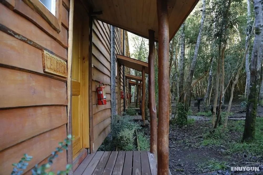 Cabañas Ensenada Bosque Nativo - Öne Çıkan Resim
