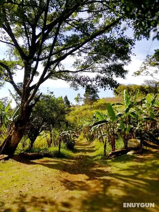 Cabañas Las Orquideas - Öne Çıkan Resim