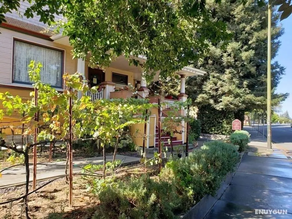 Cabernet House, An Old World Inn - Oda Manzaraları