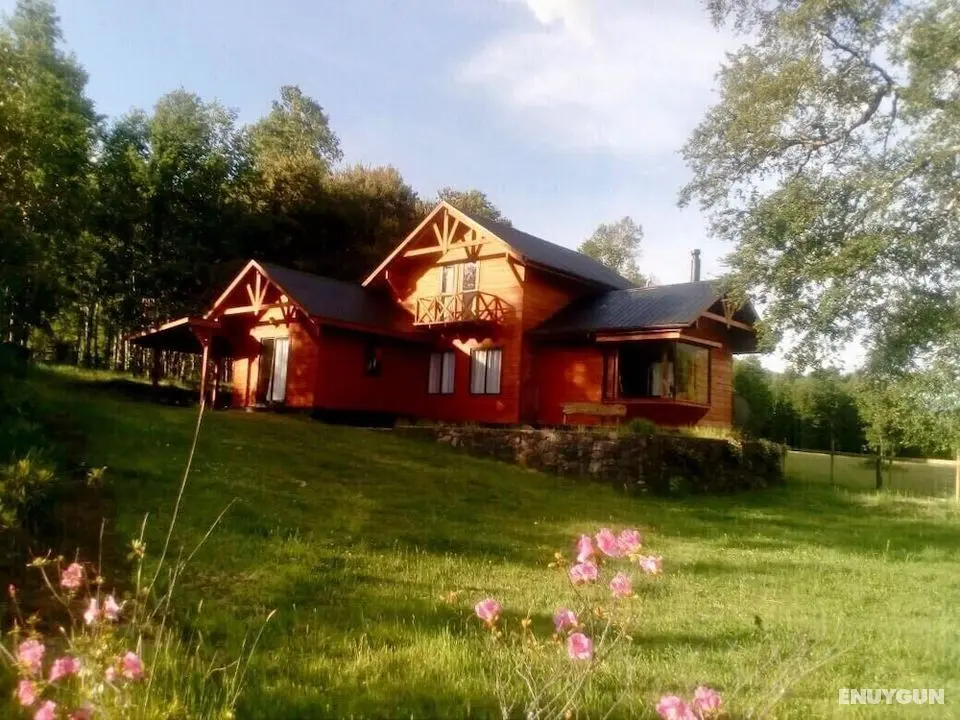 Cabin Chalet Type in Pucon - Öne Çıkan Resim