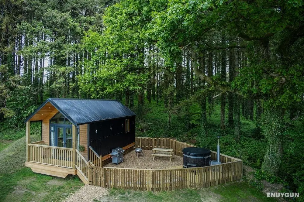 Cabin In The Woods - 1 Bed - Kilgetty - Öne Çıkan Resim