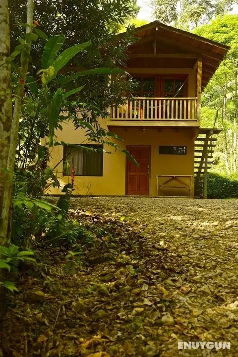 Cabinas Los Laureles - Öne Çıkan Resim