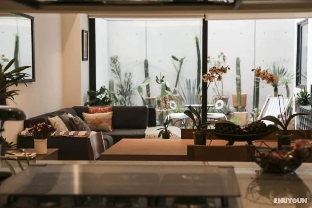 Cactus Private Terrace by Mr.W - Öne Çıkan Resim