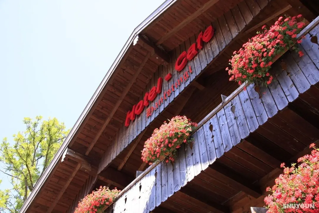 Hotel-Cafe Hanfstingl - Öne Çıkan Resim