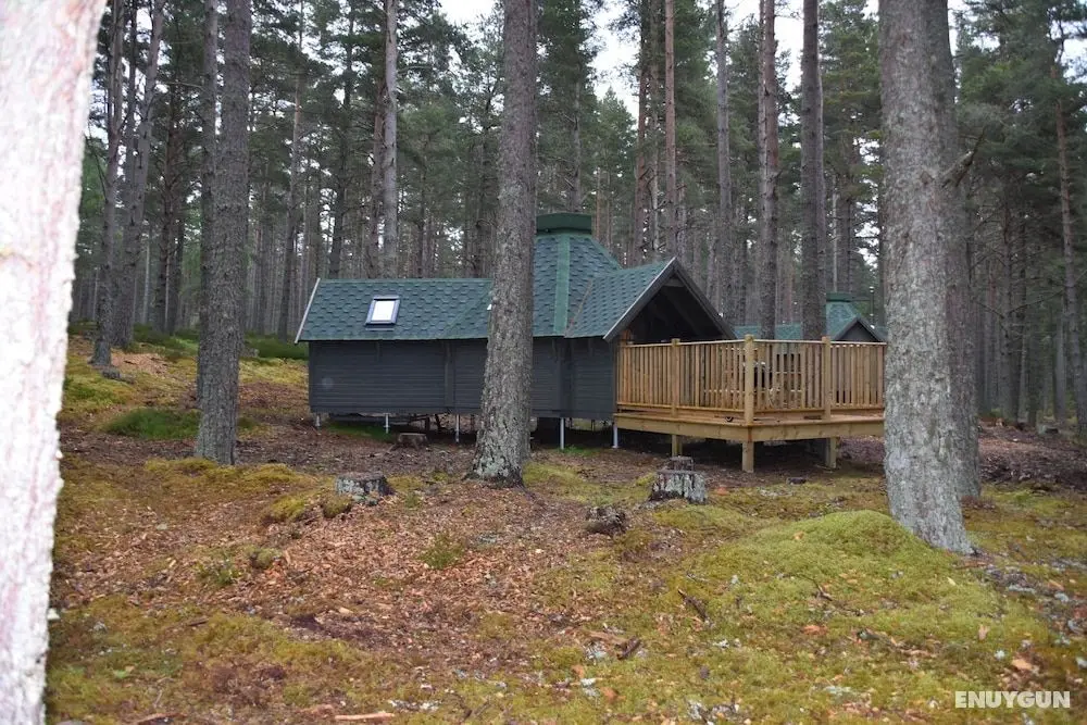 Cairngorm Bothies - Oda Düzeni
