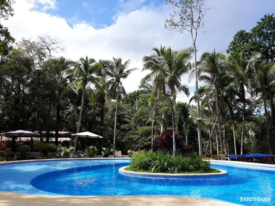 Calape Forest Resort - Öne Çıkan Resim