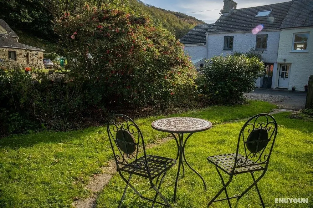 Caleb's Cottage - 4 Bed Cottage - Solva - Dış Mekanlar