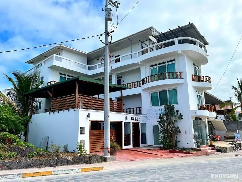 Hotel Cally Galapagos - Öne Çıkan Resim