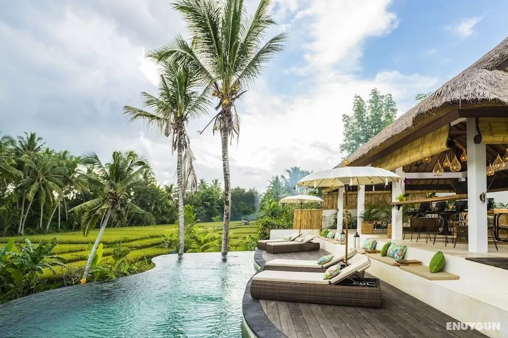 Calma Ubud - Öne Çıkan Resim