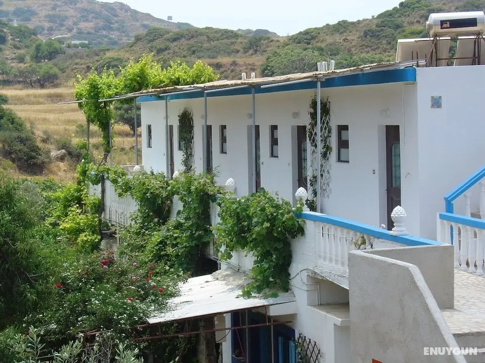 Calypso Apartments - Öne Çıkan Resim