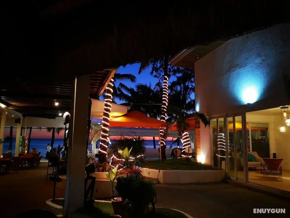 Calypso Beach & Dive Resort - Dış Mekan