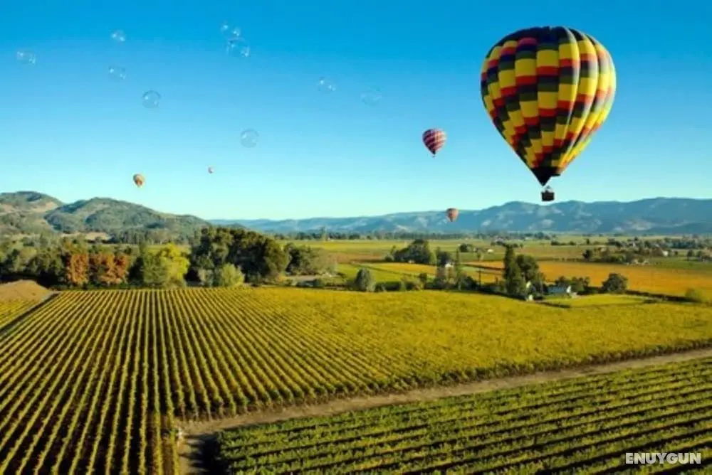 Cambria Hotel Napa Valley - Aktiviteler